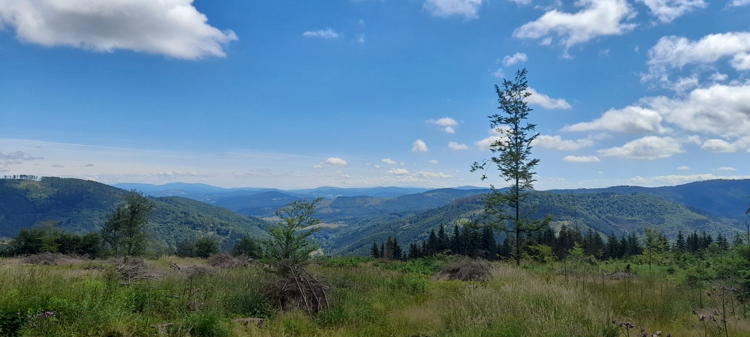 Slavič 