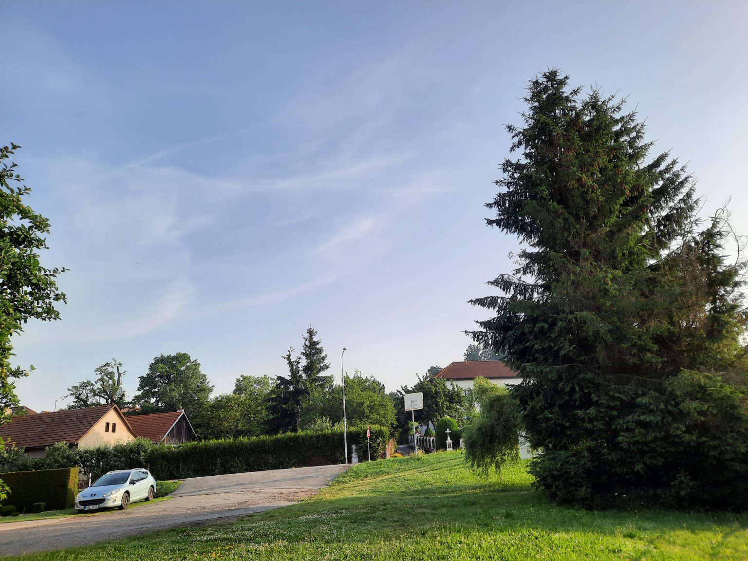 Olešná