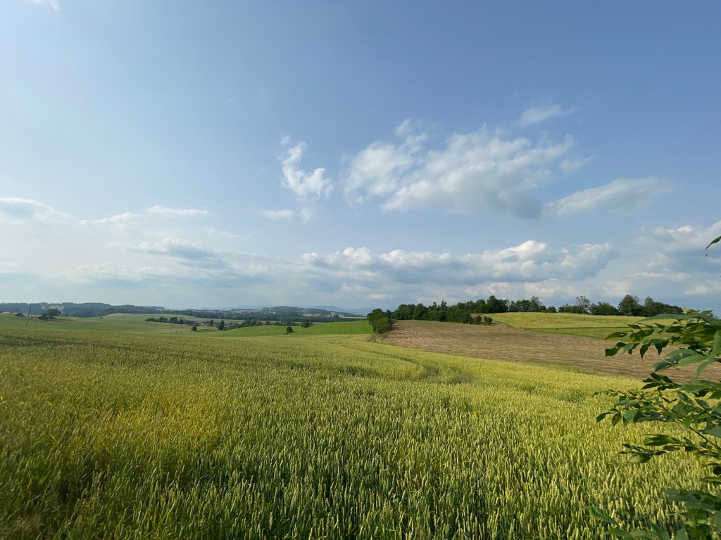 Vidochov