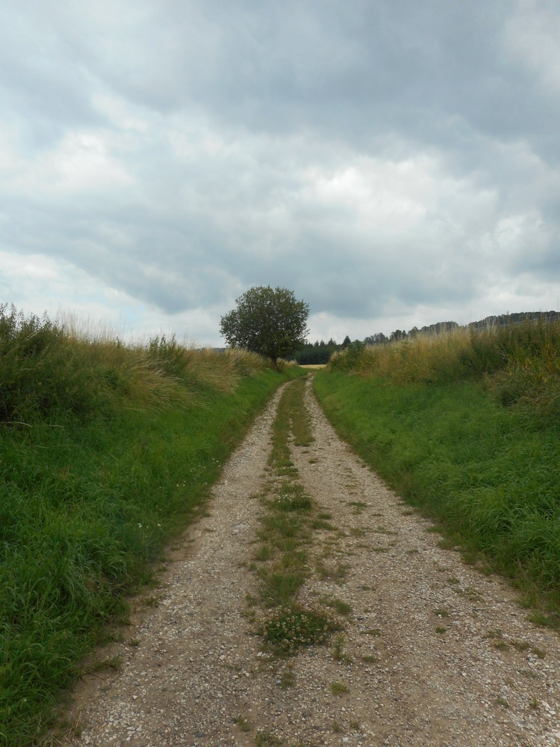 Železnice