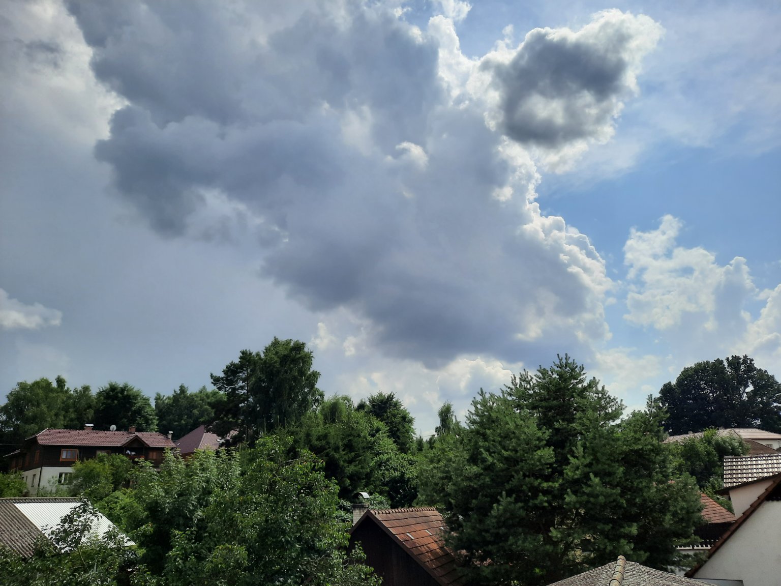 Olešná