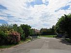 Třibřichy