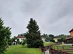 Olešná