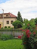 Třibřichy