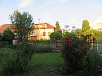 Třibřichy