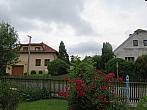 Třibřichy