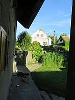 Třibřichy