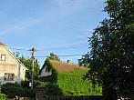 Třibřichy