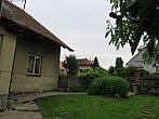 Třibřichy