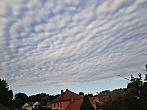Olešná