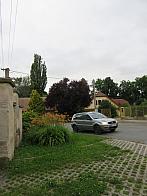 Třibřichy