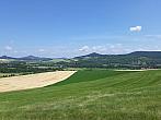 Podsedice