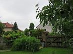 Třibřichy