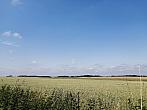 Hostákov