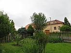 Třibřichy