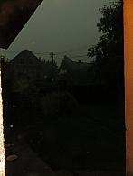 Třibřichy