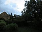 Třibřichy