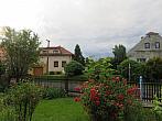 Třibřichy