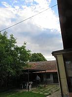 Třibřichy