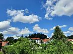 Olešná