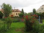 Třibřichy