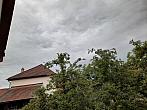 Olešná