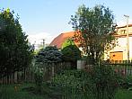 Třibřichy