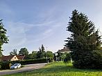 Olešná