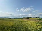 Vidochov