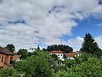 Olešná