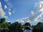 Olešná