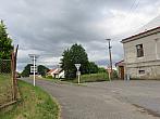 Třibřichy