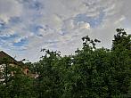 Olešná