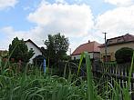 Třibřichy