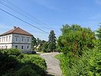 Třibřichy