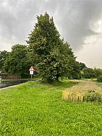 Fotografie