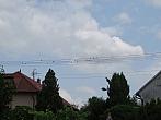Třibřichy