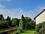 Olešná