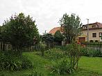 Třibřichy