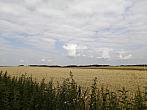 Hostákov