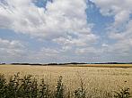 Hostákov