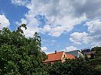 Olešná