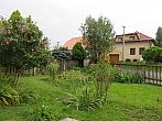 Třibřichy