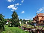 Olešná