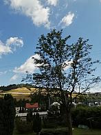 Skalité