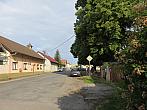 Třibřichy
