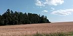 Lukovany