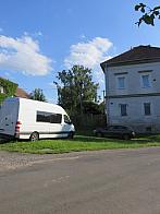 Třibřichy