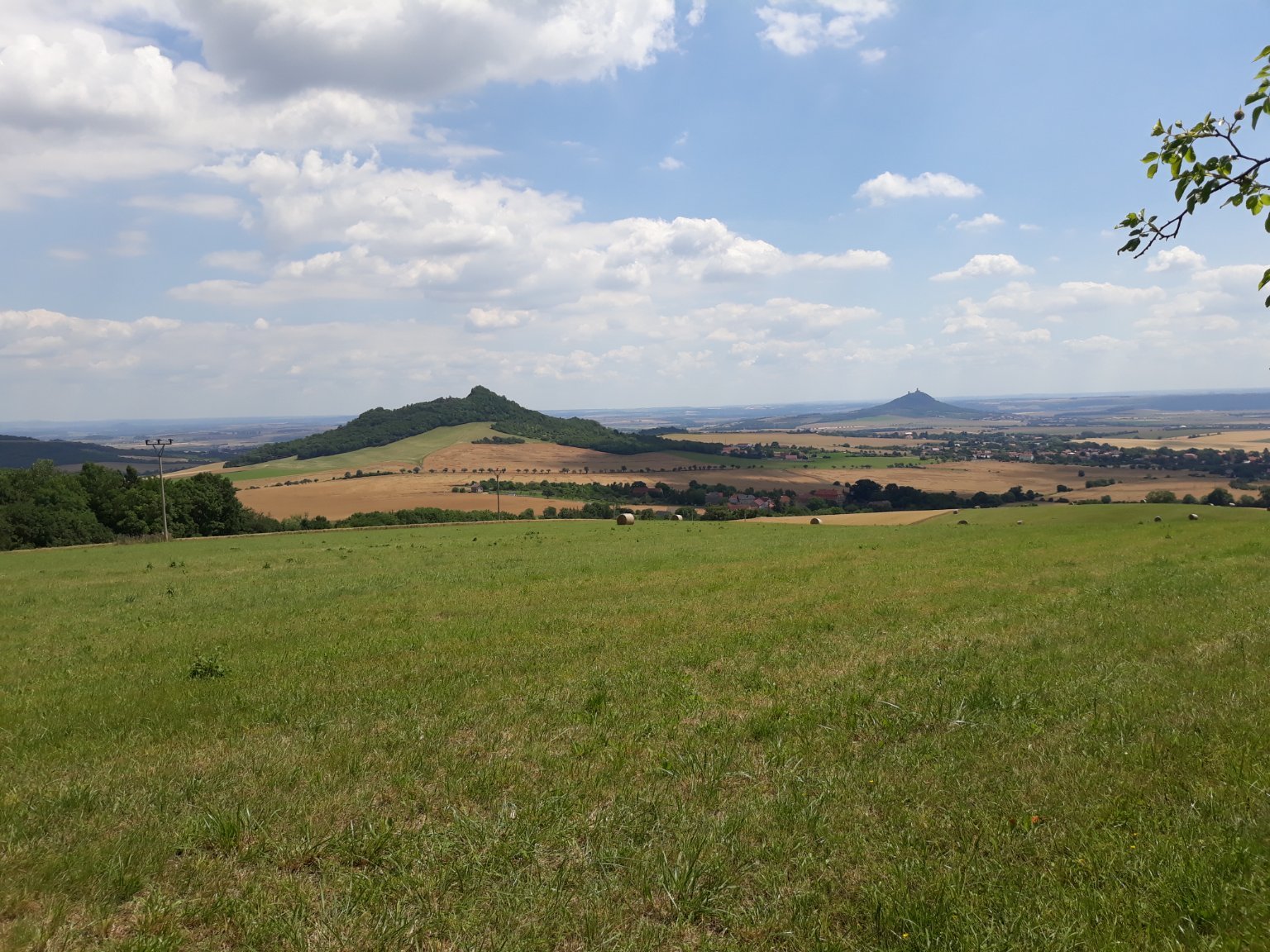 Podsedice