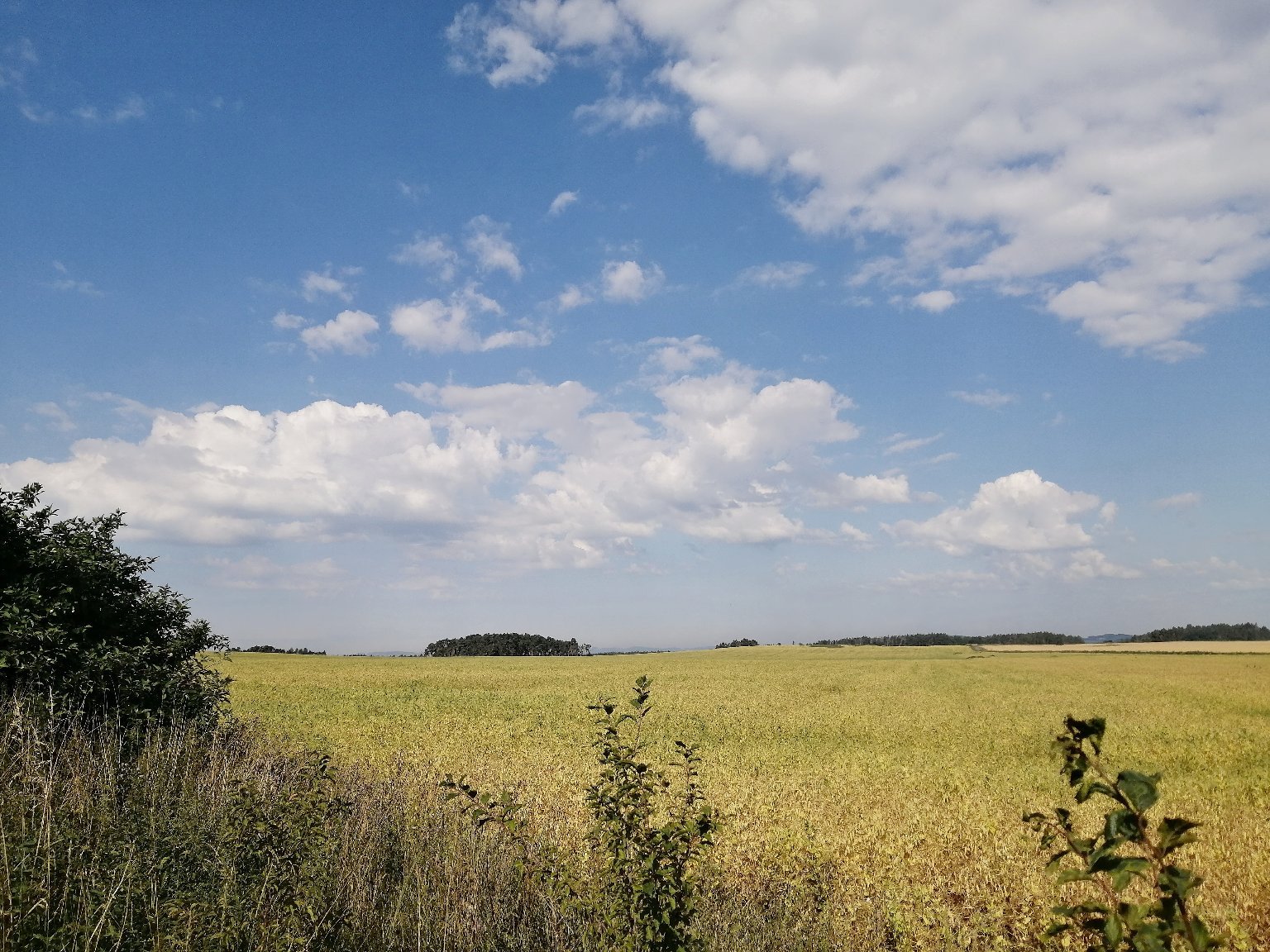 Hostákov